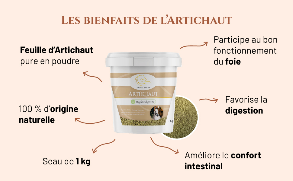 Artichaut cheval