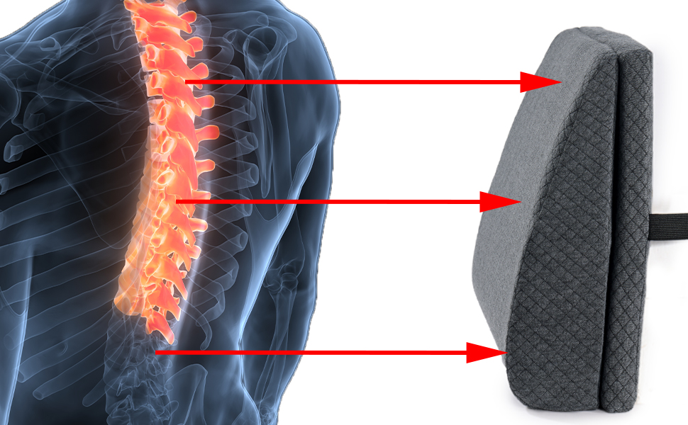 HOMBYS Adjustable Lumbar Support Pillow for Recliner and Office Chair 292175cf Ef23 43ac Ab96 941f6a546983. CR0,0,970,600 PT0 SX970 V1
