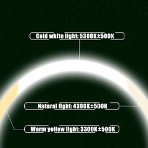  Makeup Box Organizer for those who want