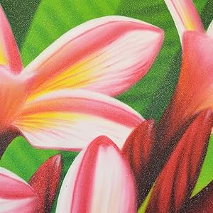 Amazon.co.jp: バリ 絵画 3枚セット 花の絵 3連 インテリア 花