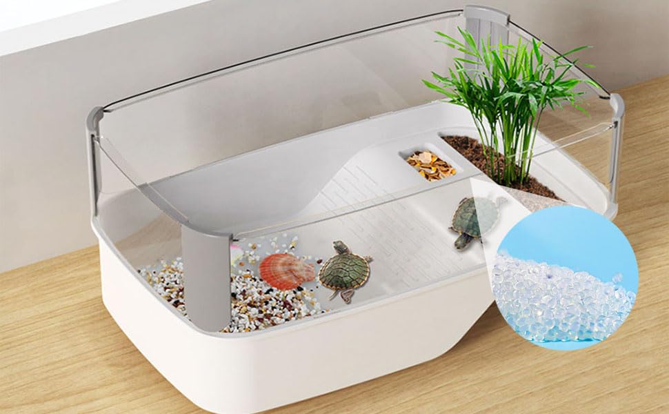 植物マイクロフォレスト風景 オフィスの雨林槽・水槽 亀・カニ 植物マイクロフォレスト風景 オフィスの雨林槽・水槽 亀・カニ