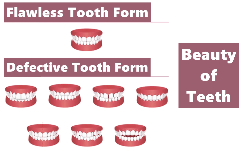 300 Sheets/Box Articulating Paper, 100um Bite Articulating Paper Strips for Adjusting the Bite