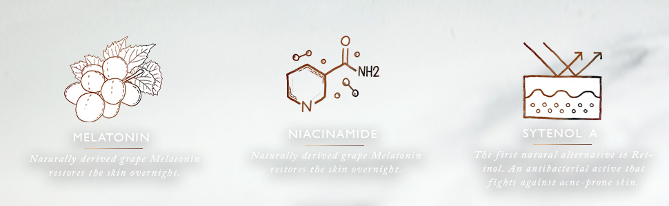 melatonin, niacinamide, sytenol, overnight repair, moisturising