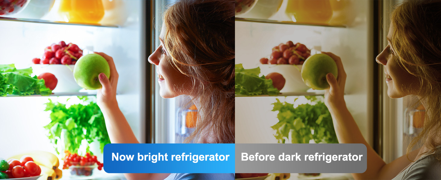 Hansang Refrigerator Light Bulb E26 Base, 60Watt Equivalent, 5000K