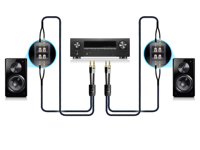 Amazon.com: SVS SoundPath Ultra Bi-Wire Speaker Cable with