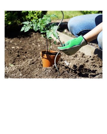 Pflanzstäbe Splittstäbe Tomatenstäbe Rankhilfe