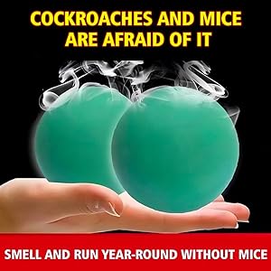 rat pills