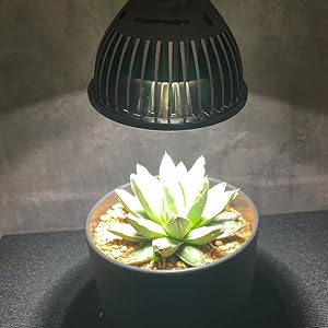 ブリムコスモUV 植物育成ライトフルセット！ imgrc0111659253.jpg