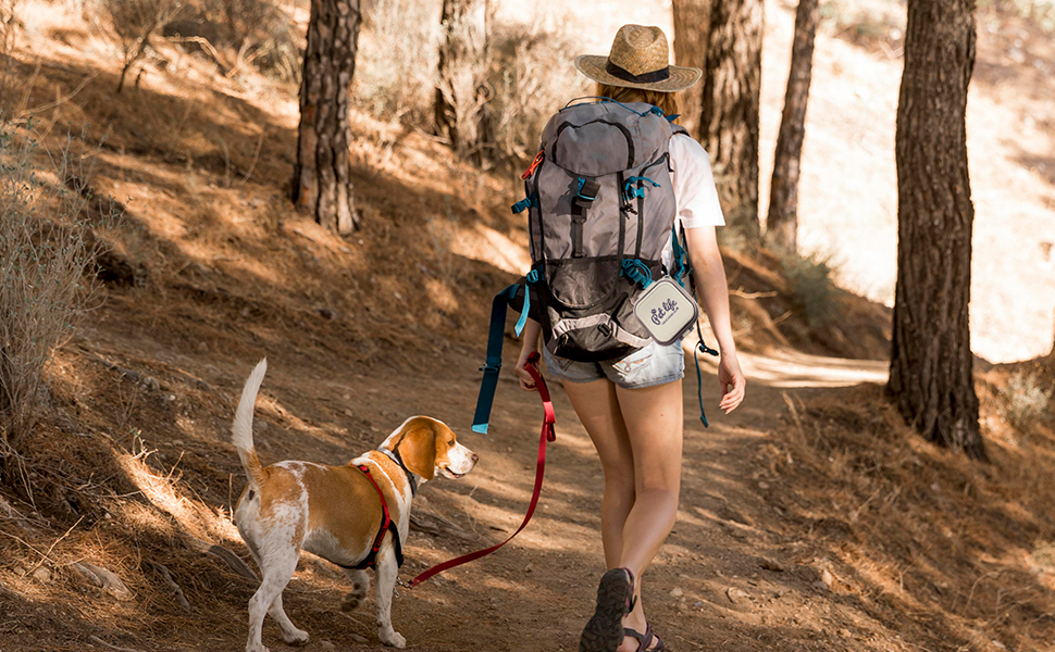 Collapsible Travel Dish