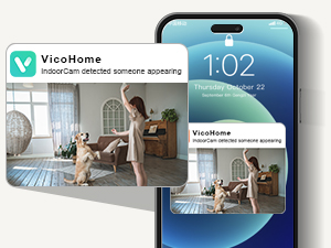 indoor wireless security cameras