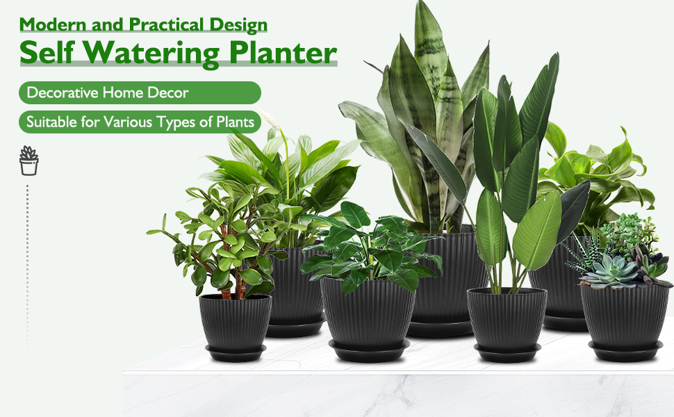 plant pots outdoor