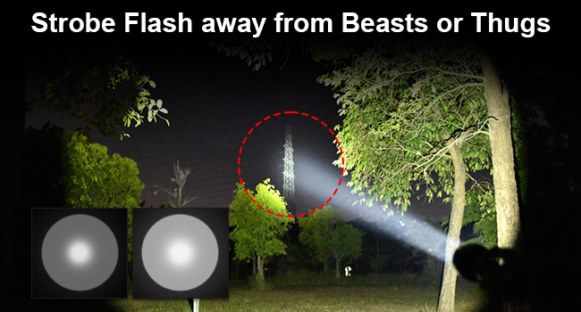 Camping light with strobe flashlight