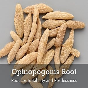 Ophiopogonis Root