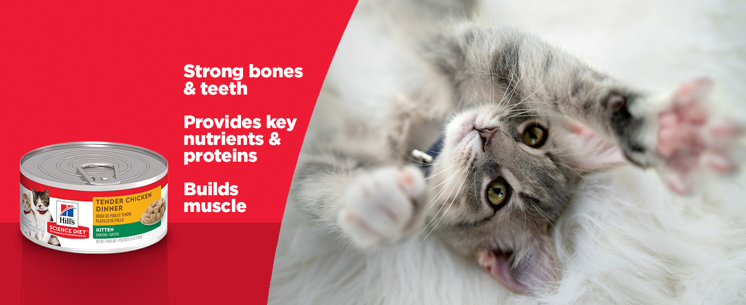 Hill's Science Diet Wet Cat Food, Kitten, Tender Chicken