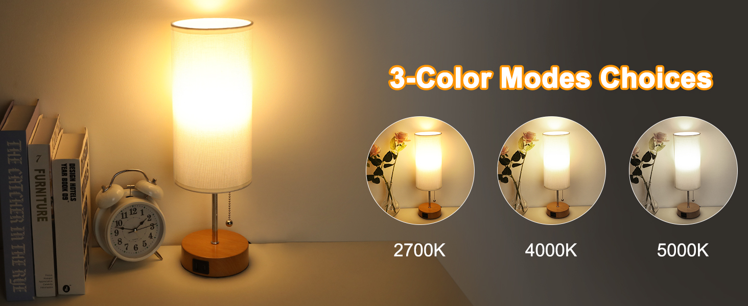 Eocean Bedside Lamp with Pull Chain Switch, 3Color Table Lamp with USB