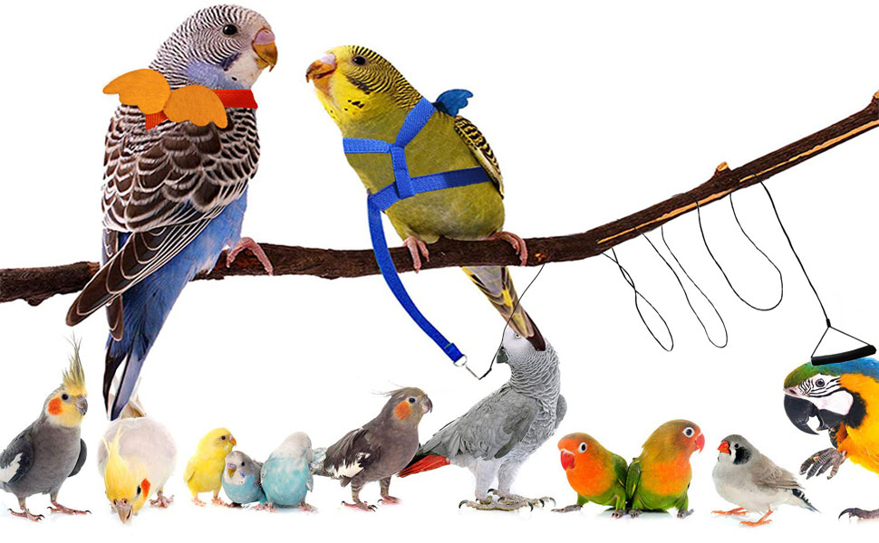 Xiapumeth Bird Harness for Parrot, 2Pcs Bird Leash for Parrots, Parakeet Leash for