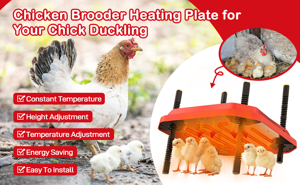 DETODDA Chick Brooder Heating Plate 12 x 12, Chicken
