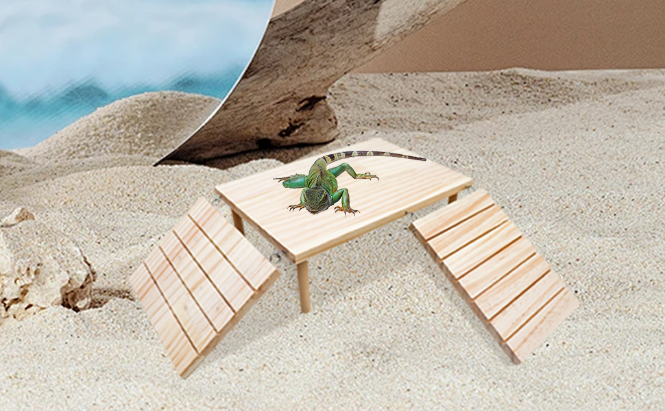 Bearded Dragon Basking Platform