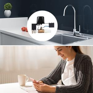 Small manufacture image 1