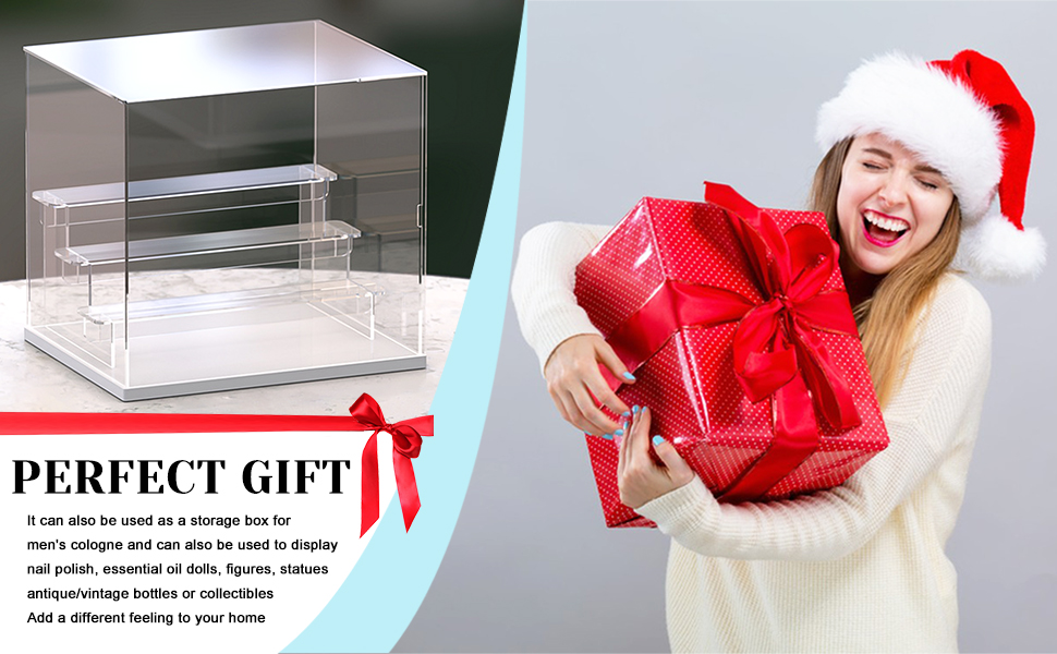 Acrylic Display Case, Clear Showcase Storage Box with Door & Ladder, 4