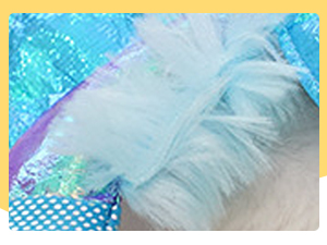 Feather