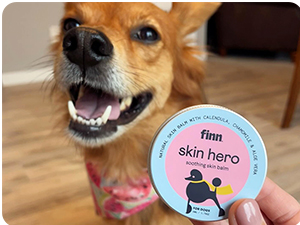 Dog with Finn Skin Hero Tin