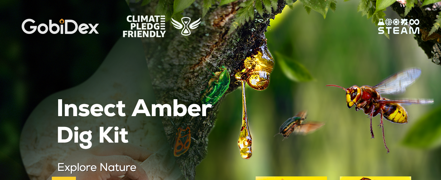 GobiDex Amber Dig Kit-Artificial Insect Resin, India