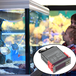 Digital Temperature Controller