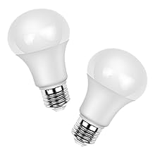 bulb
