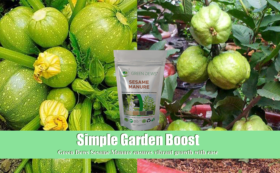 Green Dews Sesame Oil Cake Powder Fertilizer Enriched By