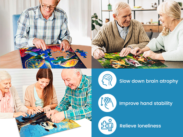 Large Piece Puzzles for Seniors Puzzles