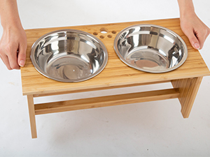 elevated dog dish