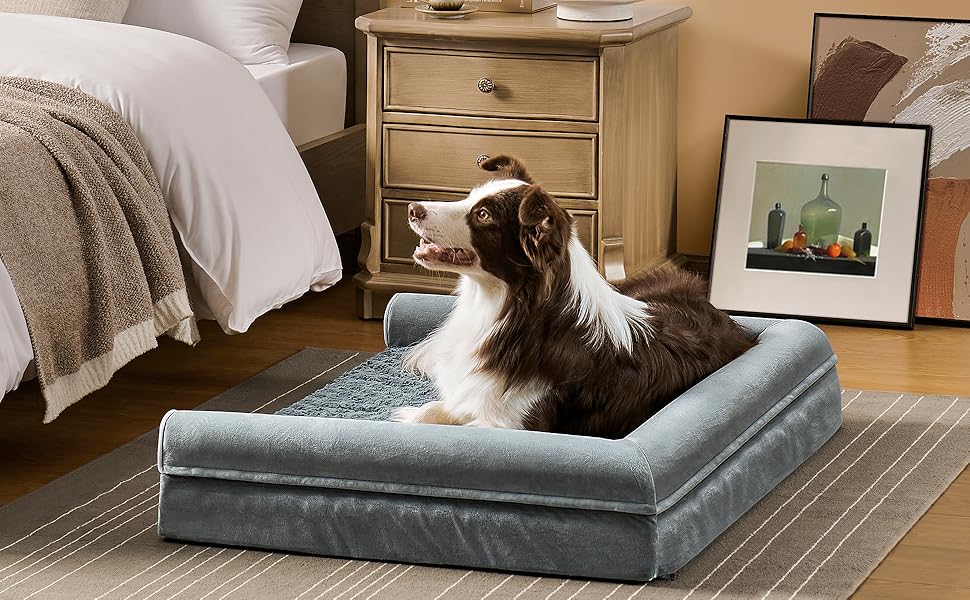 dog bed