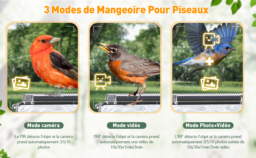 Mangeoire Oiseaux avec Caméra Intelligente, Cozion HD 1080P caméra