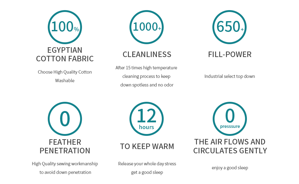 Mr. Ye Collection King Comforter Duvet Insert Goose White