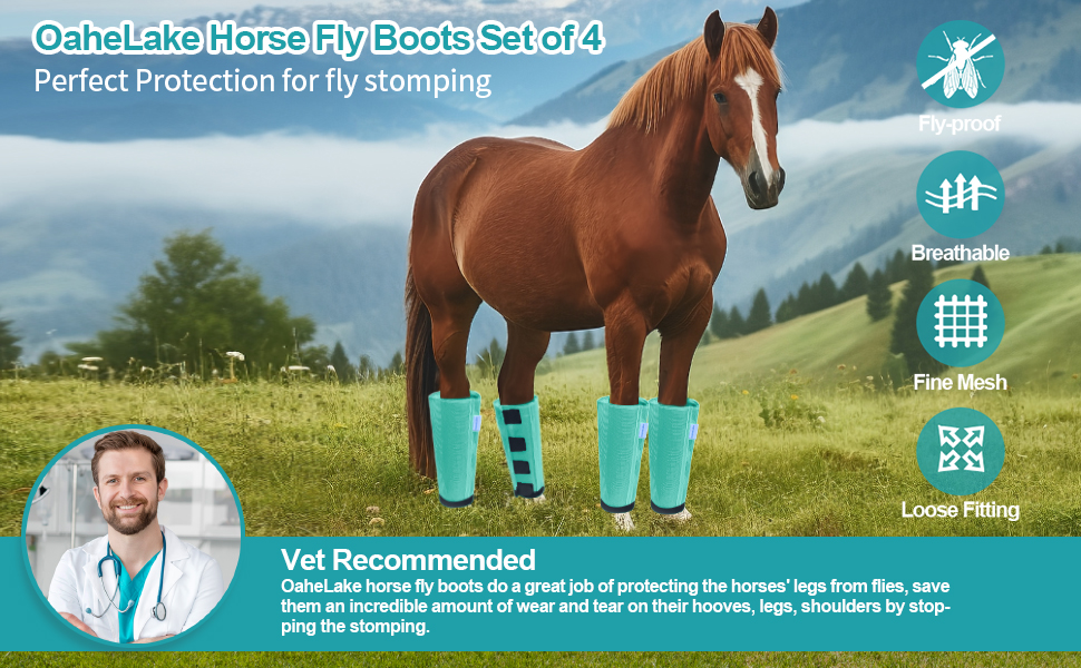 mint horse fly boots fly boots for draft horses fly protection for horses legs fly leggins