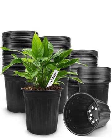 plastic plant pot