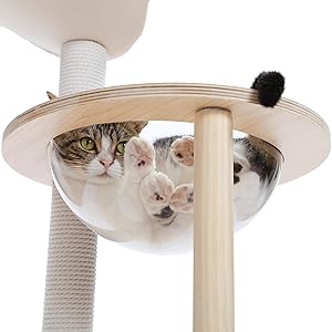 キャットタワー　宇宙船ボウル/5個セット Amazon | YUCHONG キャットタワー 多頭飼い 大型猫用 透明ボウル