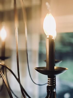 C35T LED LIGHT BULBS