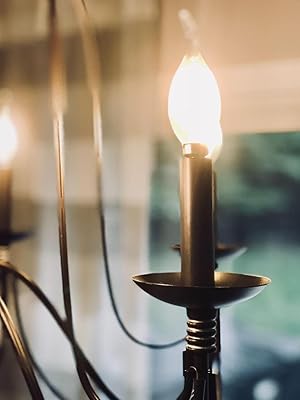 CT35 LED LIGHT BULBS