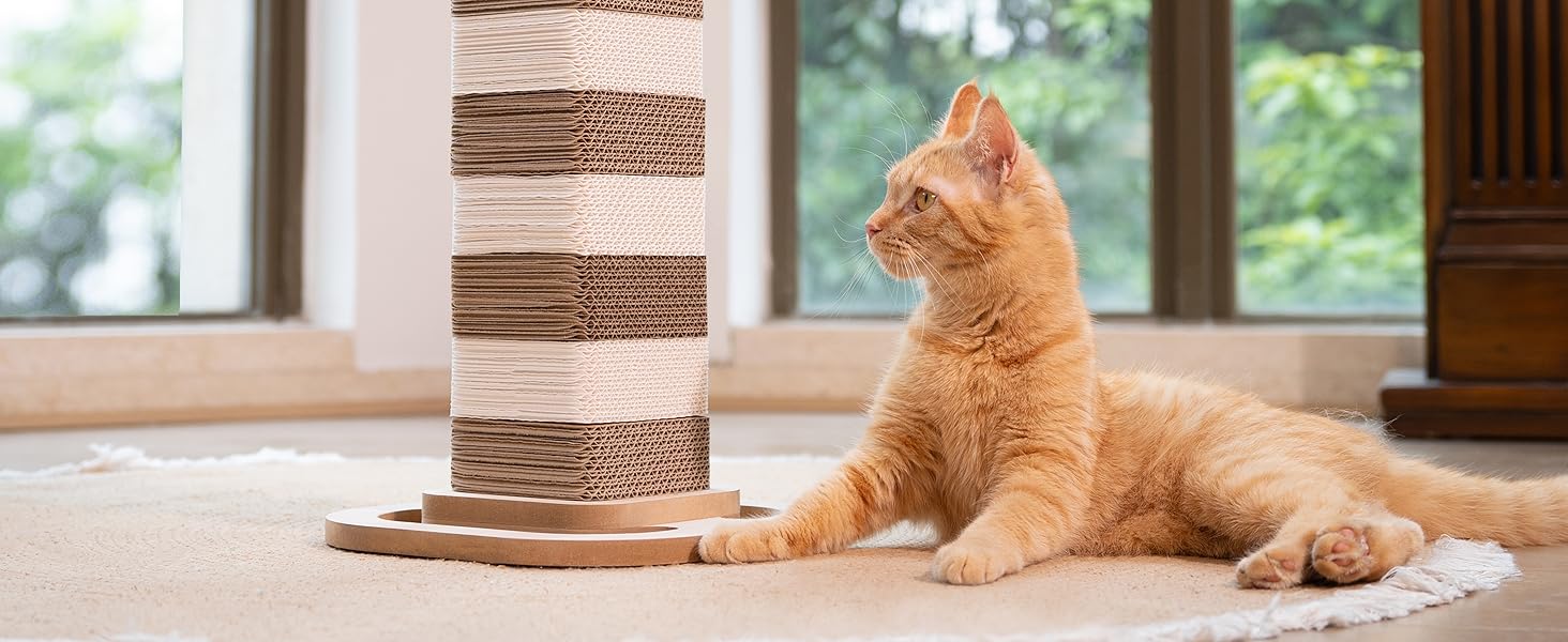 cat scratching post