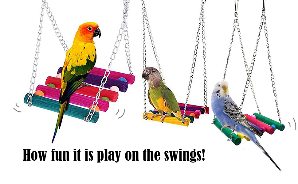 parrot toys