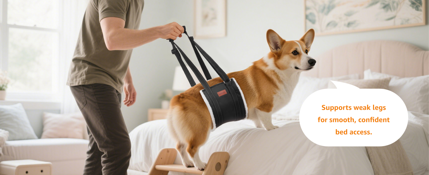 dog harness for large dogs