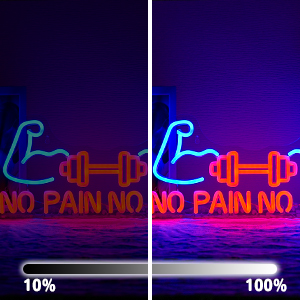 Neon sign showing a flexing arm with dumbbells and text 'NO PAIN NO'. Two panels show brightness levels at 10% and 100%.