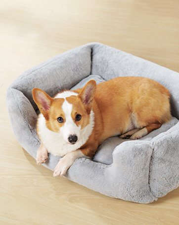 Chew Proof Large Dog Bed - Orthopedic Squishmallow Comfort Waterproof Pet Bed for Large Dogs, Indestructible Washable 29dd7d43 90b8 4bfc A804 0aee7c074d1e. CR0,0,362,453 PT0 SX362 V1