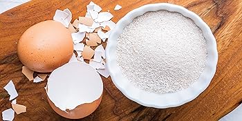 crushed eggshell