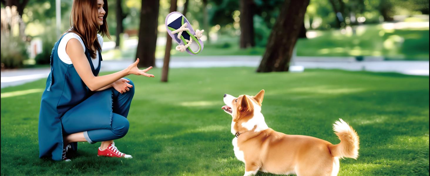Dogs interact intimately with their owners