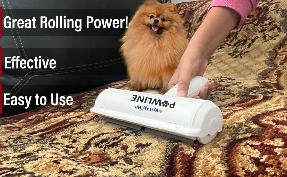 Pawline Lint Roller is used on rug and has great rolling power, is effective, and easy to use 