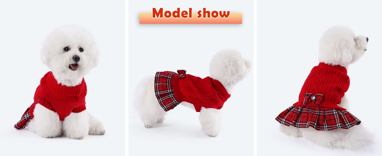 Model Show