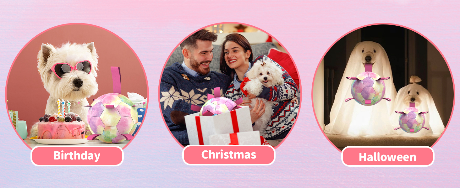 Perfect Gift For Dog